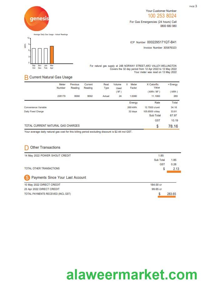 New Zealand Genesis Gas utility bill template in Word and PDF format, 3 pages 2